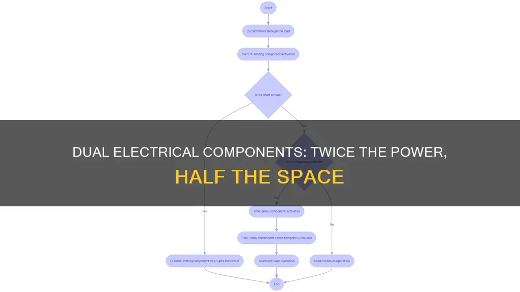 what does it mean for electrical components to be dual