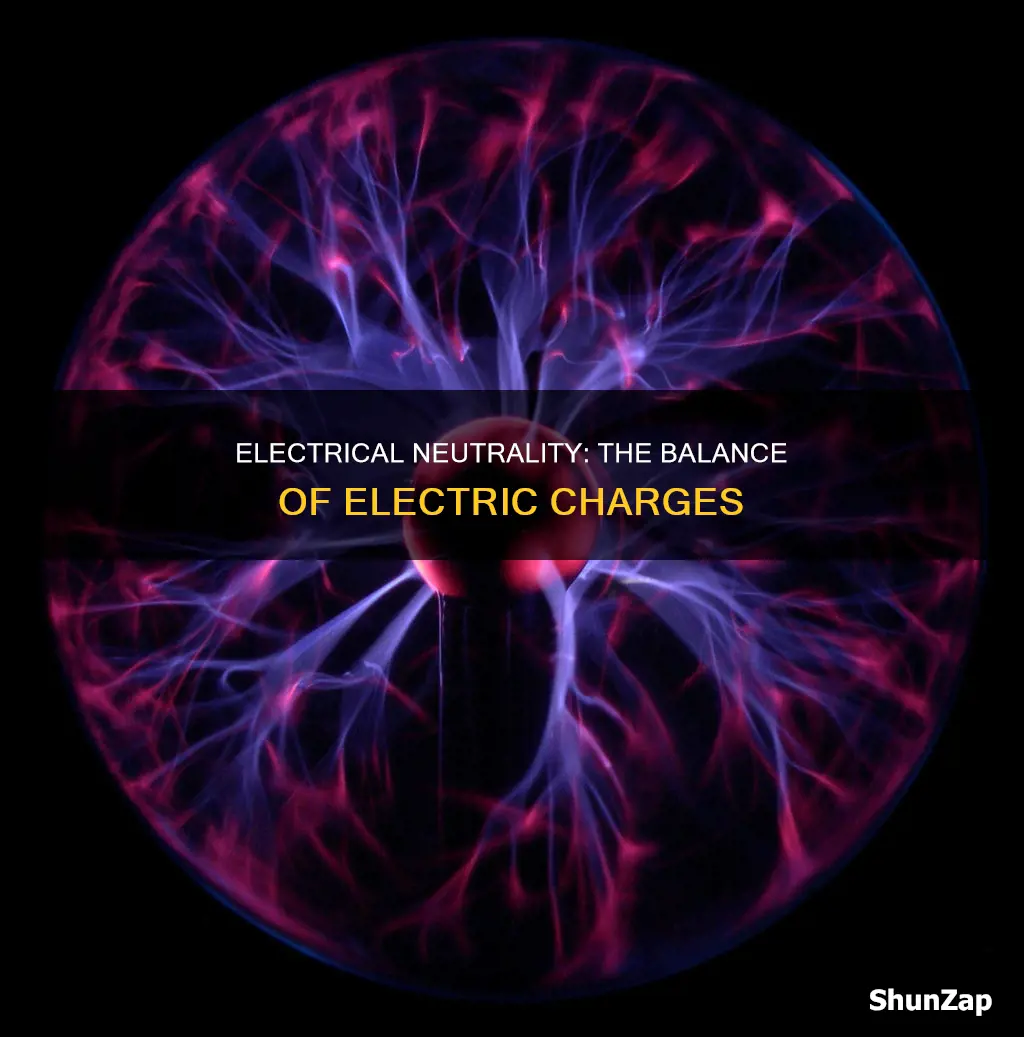 what does it mean for matter to be electrically neutral