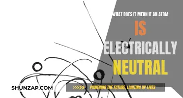 The Intriguing Nature of Electrically Neutral Atoms