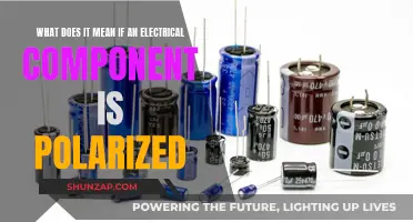 Understanding Electrical Component Polarization: What's the Meaning?