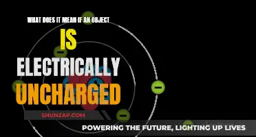 The Intriguing Nature of Electrically Uncharged Objects