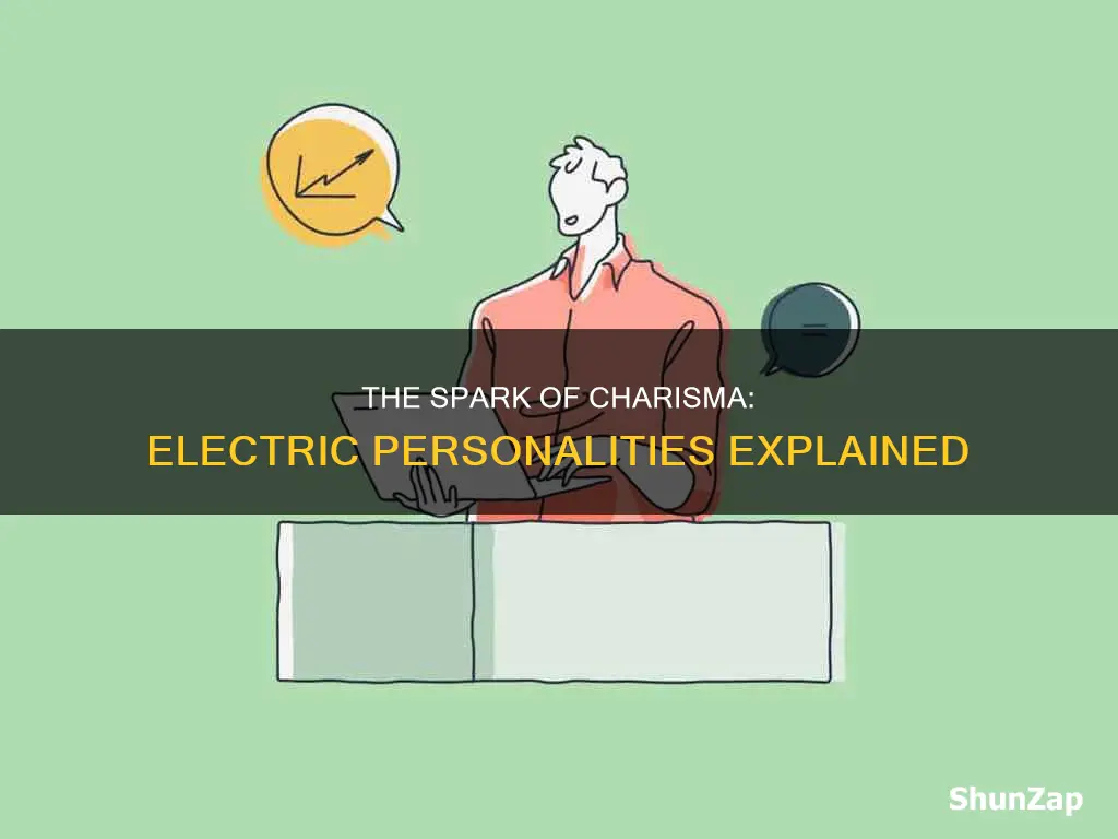 what does it mean if someone is electric