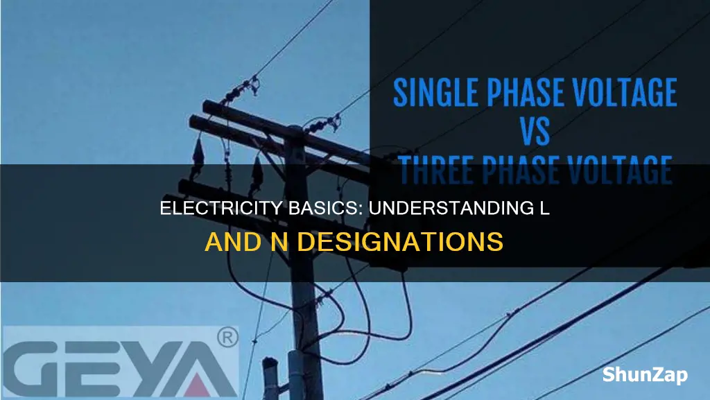 what does it mean l and n in electricity