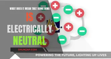 Electrical Neutrality: What Does It Mean?
