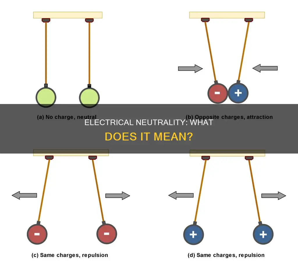 what does it mean that something is electrically neutral