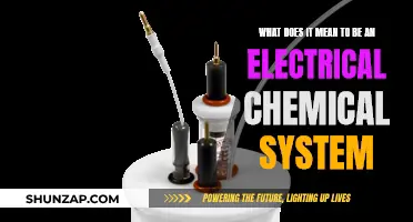 The Intricacies of Electrical-Chemical Systems Explained