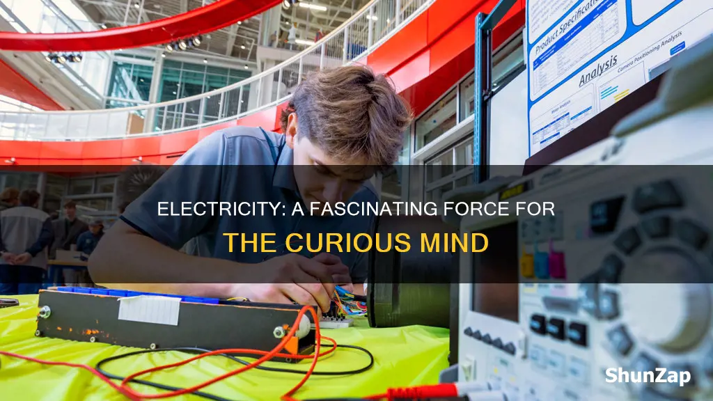 what does it mean to be interested in electricity