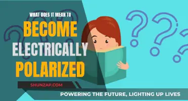 Electrical Polarization: Understanding the Fundamentals of Electric Charges
