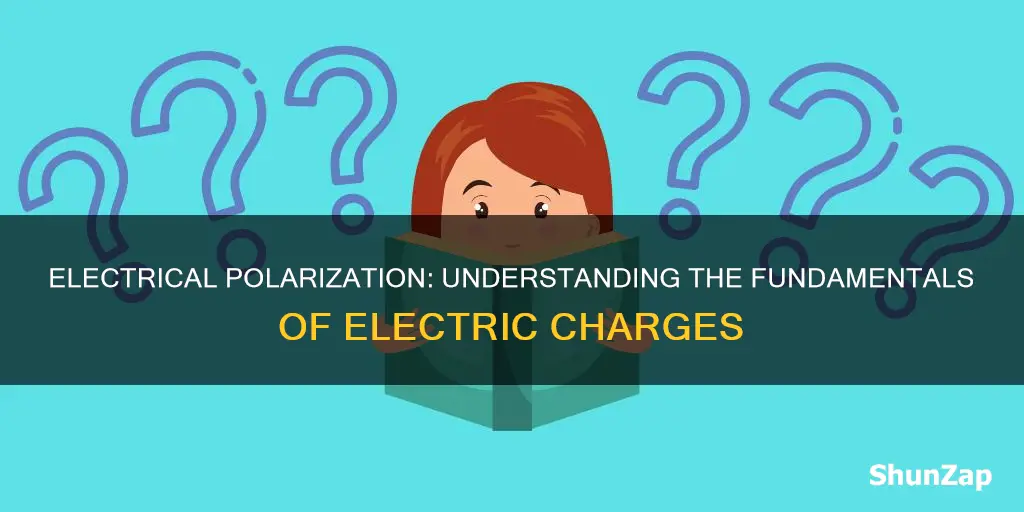 what does it mean to become electrically polarized