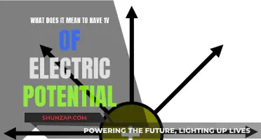 Understanding Electric Potential: 1V and its Significance