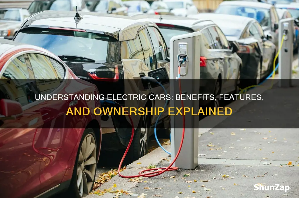 what does it mean to have an electric car