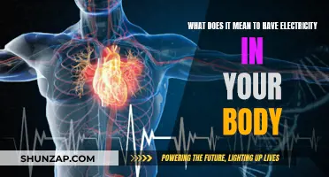Electricity in the Body: What Does it Mean?