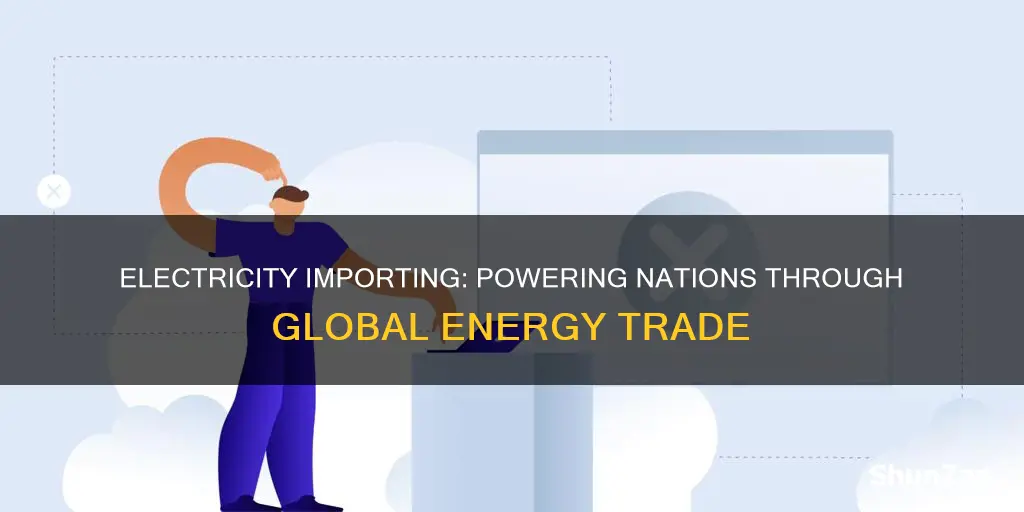 what does it mean to import electricity