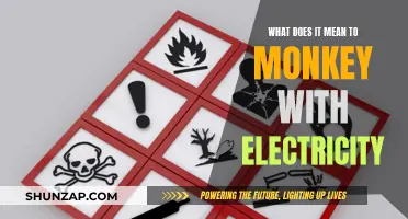 The Risky Business of Tampering with Electricity