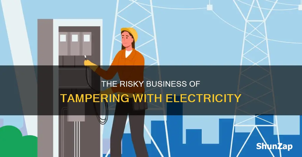 what does it mean to monkey with electricity