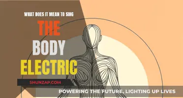 The Electric Body: A Song of Self-Expression
