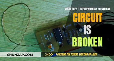 Circuit Break: Understanding Electrical Disruptions