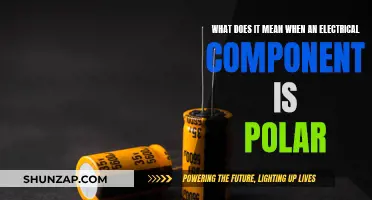 Understanding Electrical Polarity: Polar Components Explained