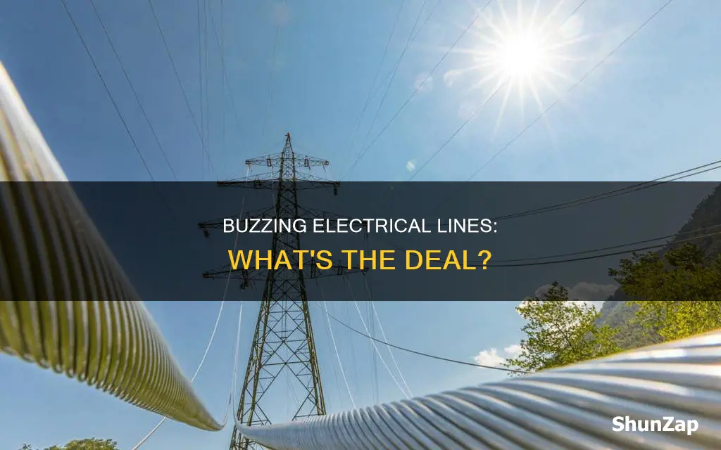 what does it mean when electrical lines buzz
