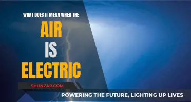 The Air is Electric: A Sign of Stormy Weather?