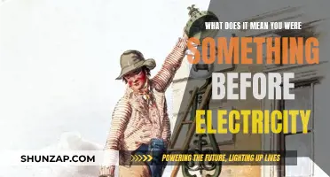 The Pre-Electric Age: A World Without Modern Conveniences