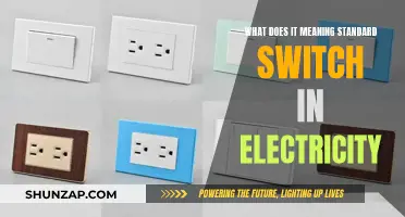 Standard Electrical Switches: Understanding Their Function and Use