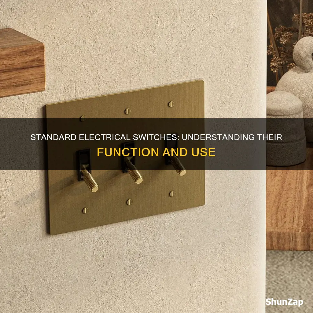 what does it meaning standard switch in electricity