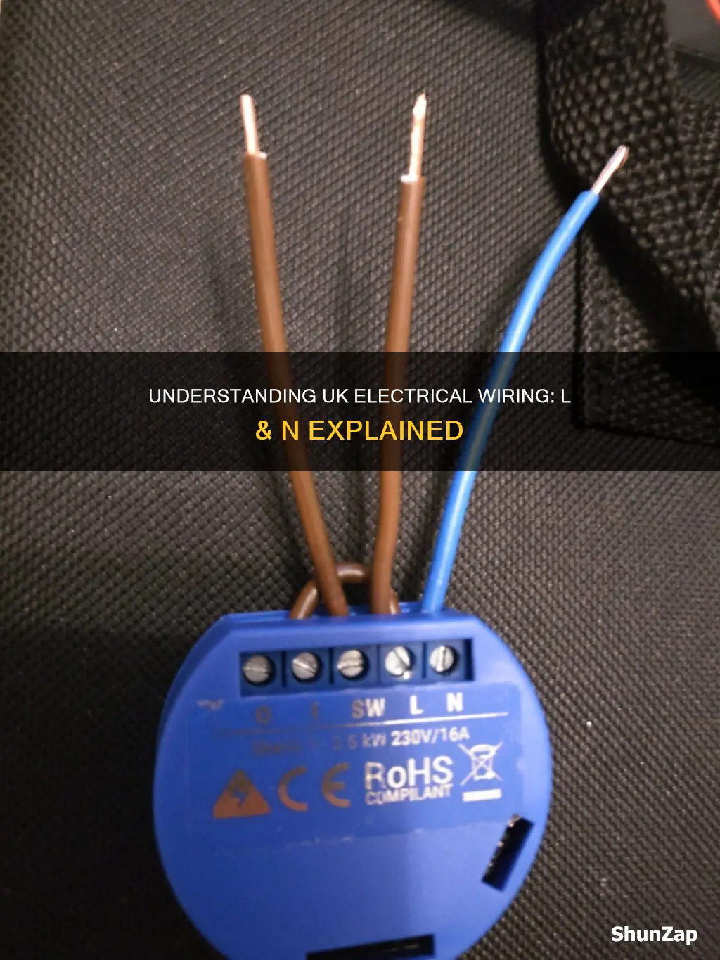 what does l and n mean in electrical wiring uk