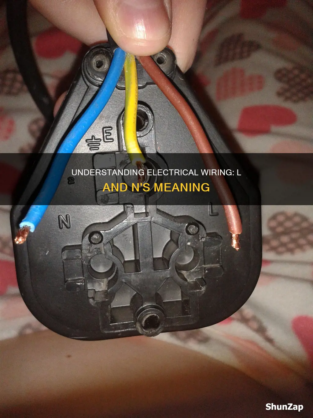 what does l and n mean in electrical wiring