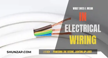 Understanding Electrical Wiring: What Does 'L' Mean?