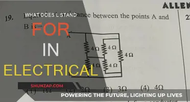 Understanding the Meaning of 'L' in Electrical Terms