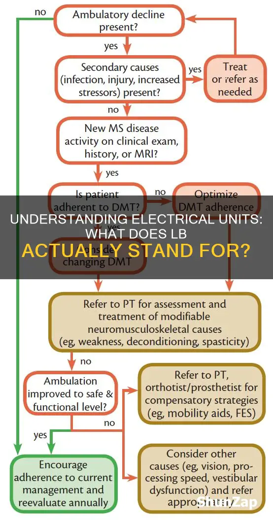 what does lb stand for in electrical