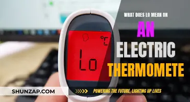 Understanding the LO Reading on Your Electric Thermometer