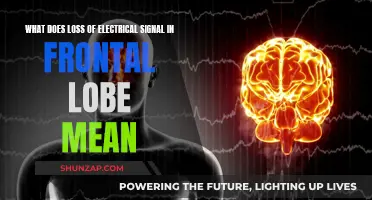 Electrical Signals in the Frontal Lobe: What Does Loss Mean?