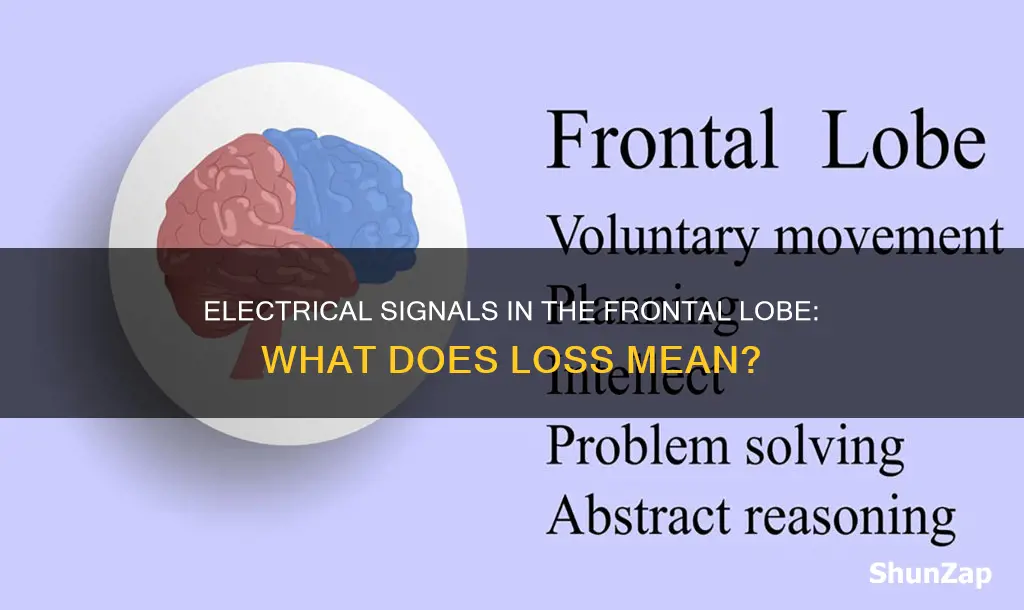 what does loss of electrical signal in frontal lobe mean