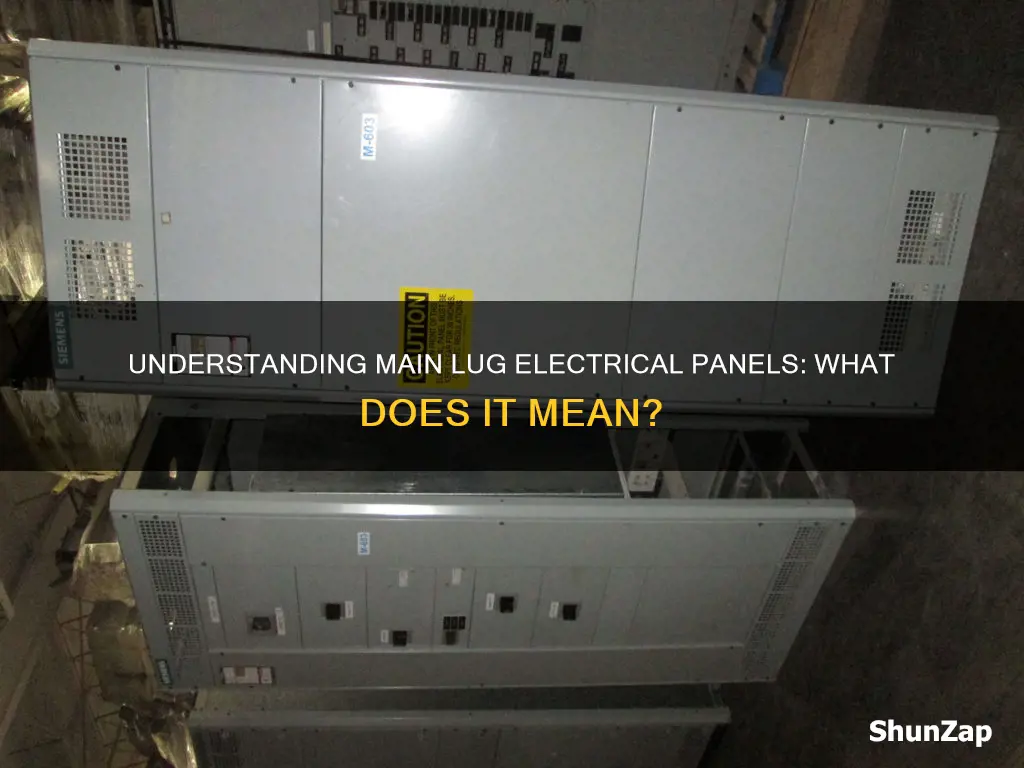 what does main lugs mean on an electrical panel