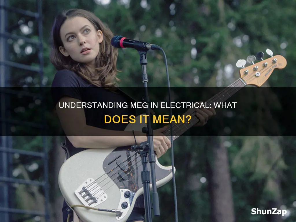 what does meg mean in electrical