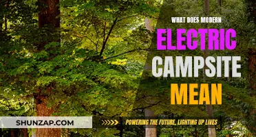 Electric Campsite Evolution: Modern Conveniences in the Great Outdoors