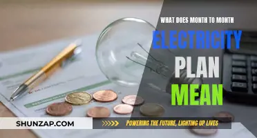 Understanding Flexible Electricity Plans: Month-to-Month Explained