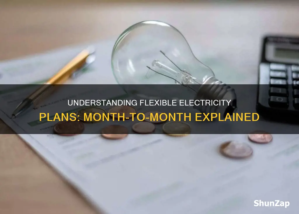 what does month to month electricity plan mean