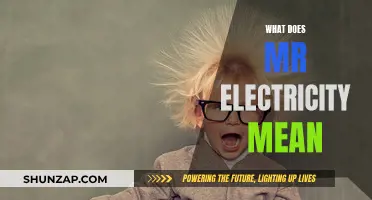 Electricity's Mysterious Mr.: Unraveling the Meaning of the Title