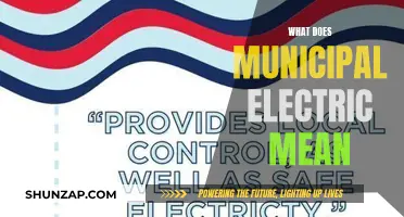 Electricity's Future: Municipal Power and What It Means