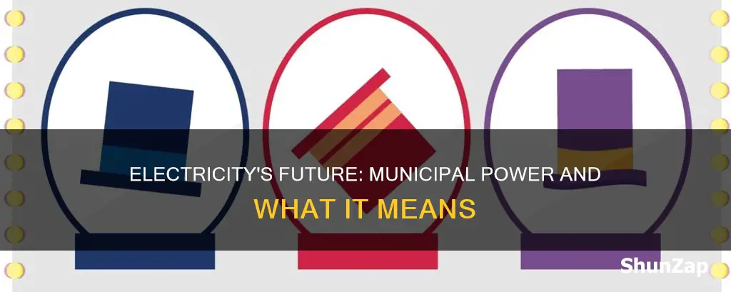 what does municipal electric mean