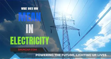 Understanding the Meaning of 'MW' in Electrical Terms
