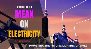 Understanding the Meaning of NGO on Your Electricity Bill