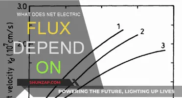 Understanding Factors Affecting Net Electric Flux