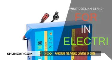 Understanding Electric Units: What Does 'nm' Truly Mean?