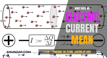 Understanding Zero Electric Current: What Does It Mean?