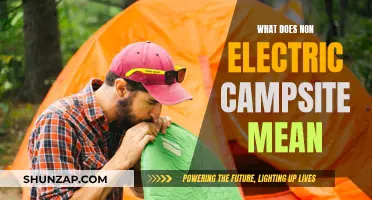Camping Off-Grid: Understanding Non-Electric Campsites