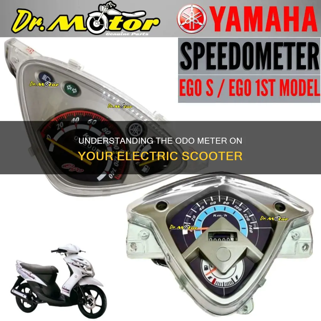 what does odo mean on electric scooter